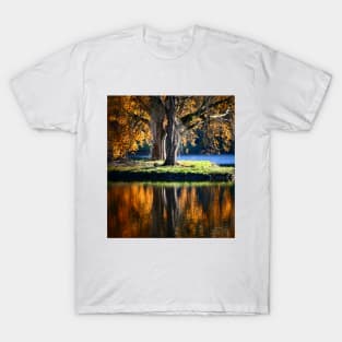 Stourhead Reflected T-Shirt